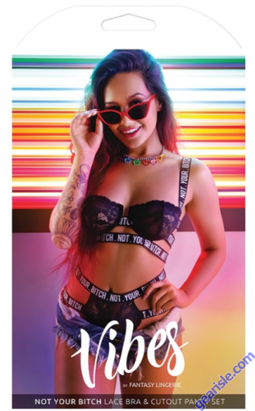 Vibes Fantasy Lingerie Not Your Bitch Cage Bra Cutout Panty Set Black